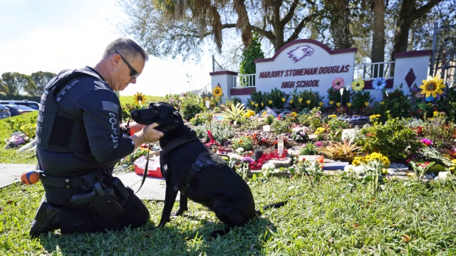 A police officer takes a moment with his school safety dog in Florida.