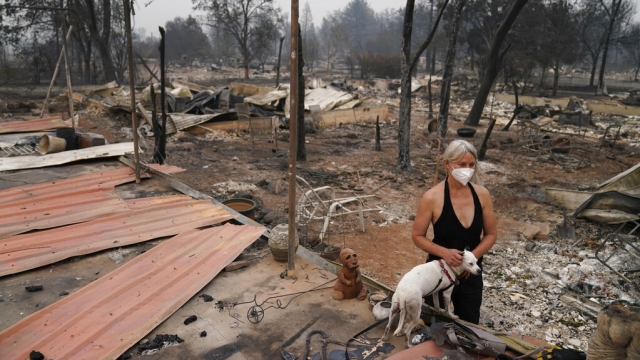 A woman pets her dog in the midst of wildfire destruction.