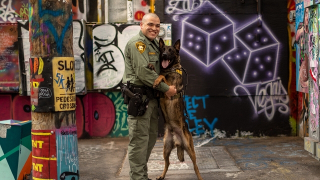 A K-9 and its handler are shown.
