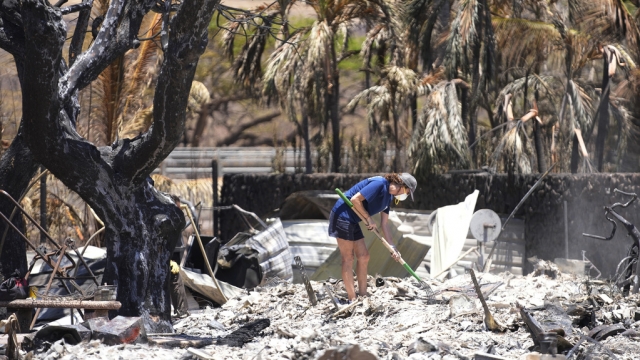 A woman digs through rubble of a home destroyed by a wildfire.