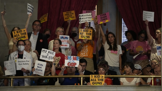 People in the House gallery hold signs in support of gun law reform during a special session