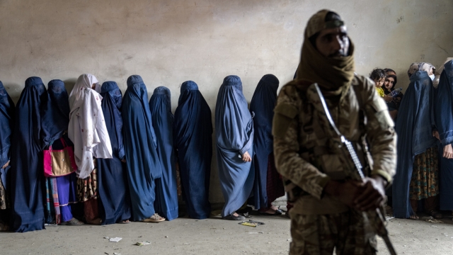 A Taliban fighter stands guard as women wait to receive food rations.