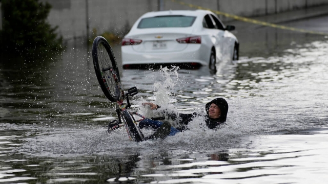A cyclist falls while trying to ride through floodwaters near a stranded car.