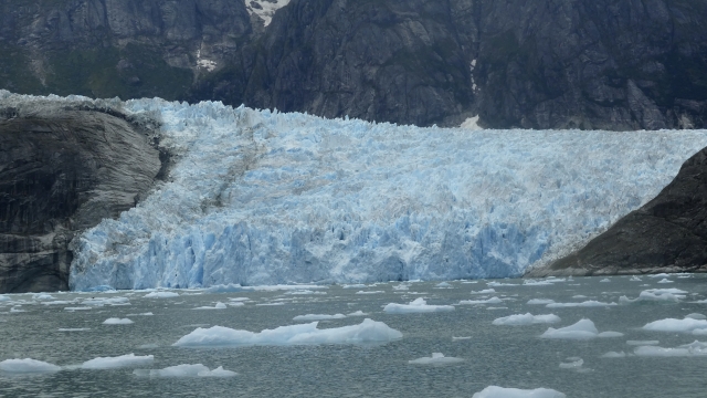 Icebergs float in the bay near the face of the LeConte Glacier