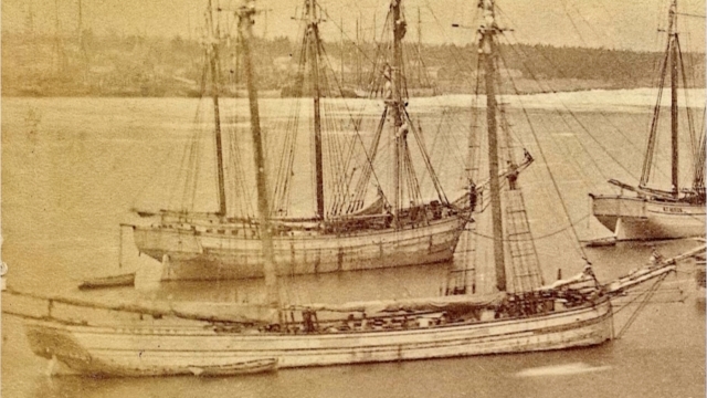 The Trinidad ship