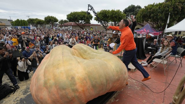Travis Gienger wins largest pumpkin.