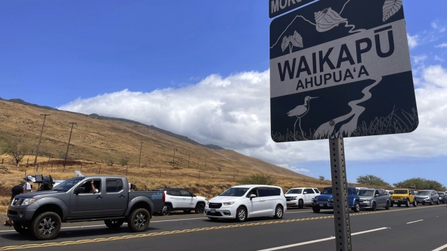 Drivers in West Maui, Hawaii, wait in traffic as police open up a roadblock, allowing residents in to check on their homes.