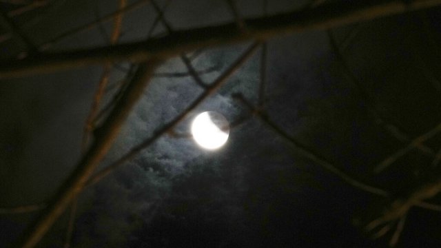 Лунное затмение на этих выходных совпадет с Луной Охотника.