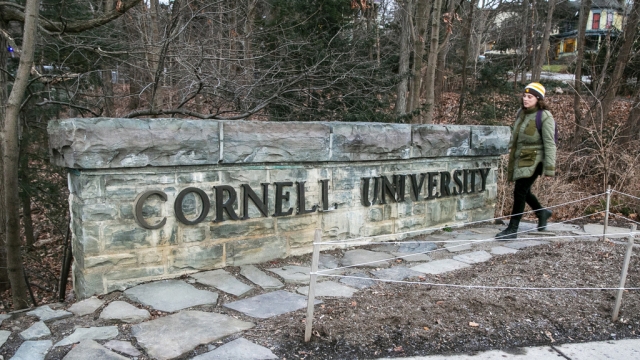 A woman walks by a Cornell University sign.