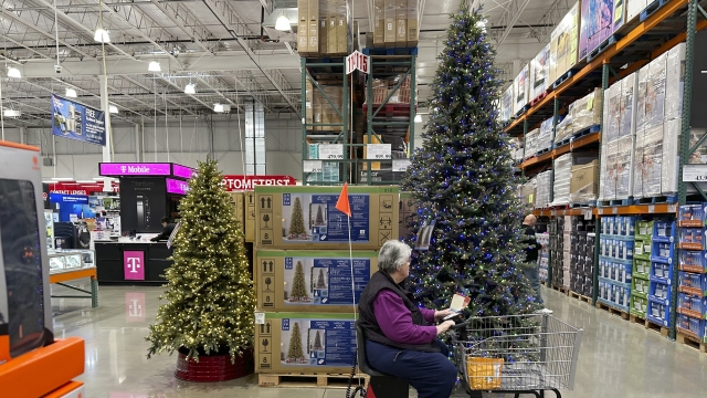 A shopper passes by a display of Christmas trees at Costco