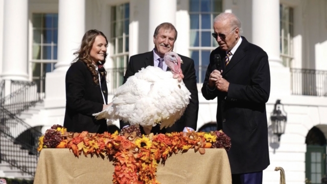 2022 presidential pardoning of turkeys Chocolate and Chip.