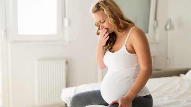 Scientists discover cause of pregnancy morning sickness, test cures