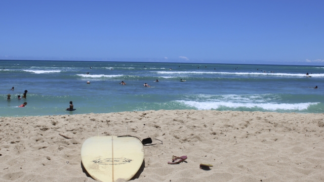  Surfer dies following a shark encounter in Hawaii