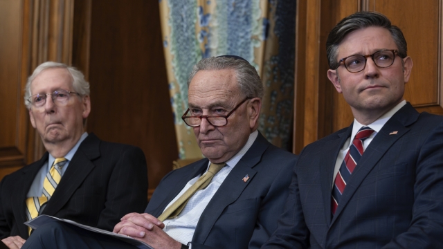 Senate Minority Leader Mitch McConnell, Senate Majority Leader Chuck Schumer and House Speaker Mike Johnson seated.