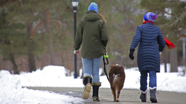People take a dog for a walk in Delaware Park a few days after a winter storm in 2022.
