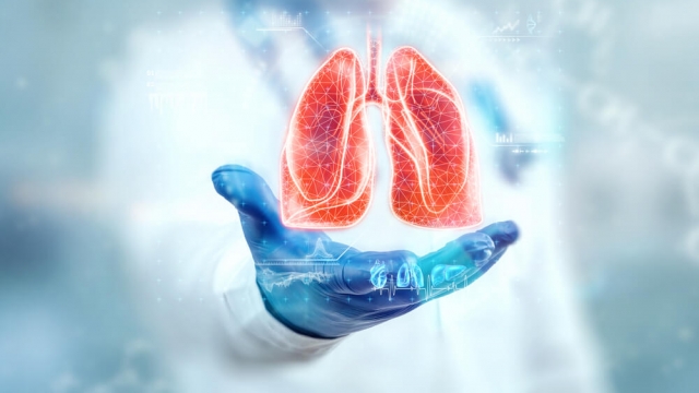 A hologram of lungs.