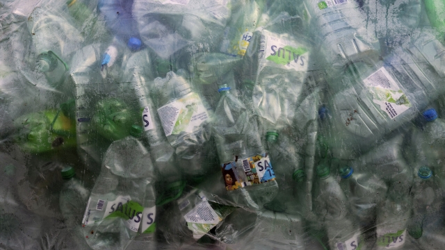 Empty water bottles are gathered in a plastic bag