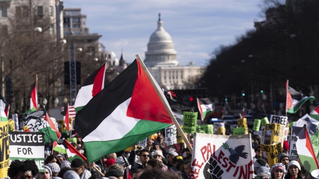 Demonstrators rally during the March on Washington for Gaza.