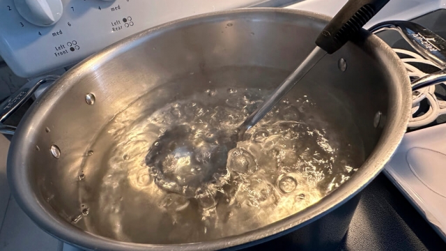 A pot of water boils on a stove