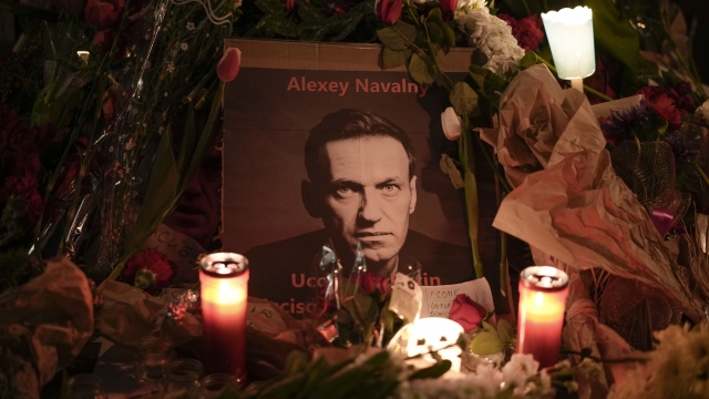 Kremlin rejects Navalny widow's claims he was killed by Putin