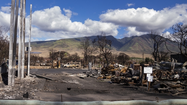 Hawaii governor releases details of $175M fund for Maui fire victims