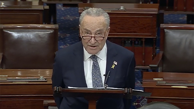 Schumer calls on Israel to hold new election amid war