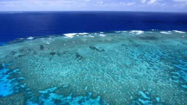 Warmer sea temperatures leads to the bleaching of coral reefs, seen here in the Great Barrier Reef.