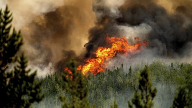 Flames from the Donnie Creek wildfire burn along a ridge top north of Fort St. John, British Columbia.