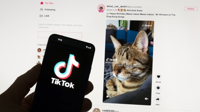 The TikTok logo is seen on a mobile phone in front of a computer screen which displays the TikTok home screen.