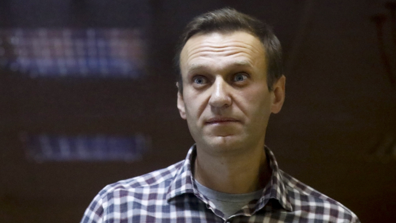 Russian opposition leader Alexei Navalny stands in a cage in the Babuskinsky District Court