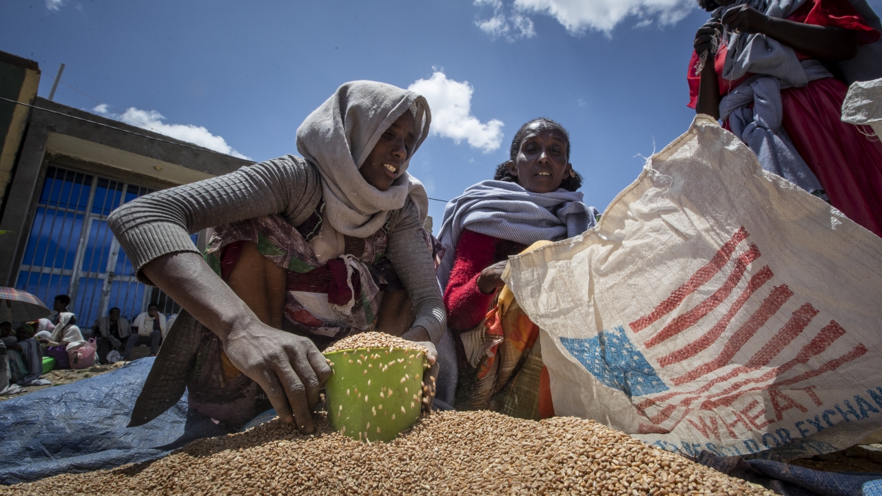Ethiopian woman scoops portions of wheat to be allocated to waiting families in the Tigray region.