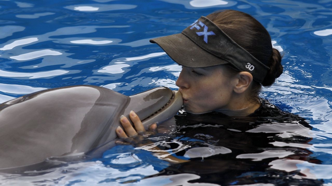 A trainer kisses Winter the dolphin
