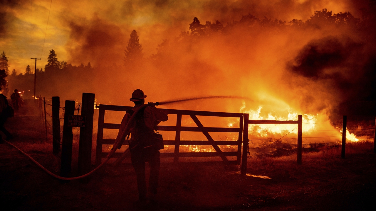 A firefighter extinguishes flames as the Oak Fire crosses Darrah Rd. in Mariposa County, Calif.