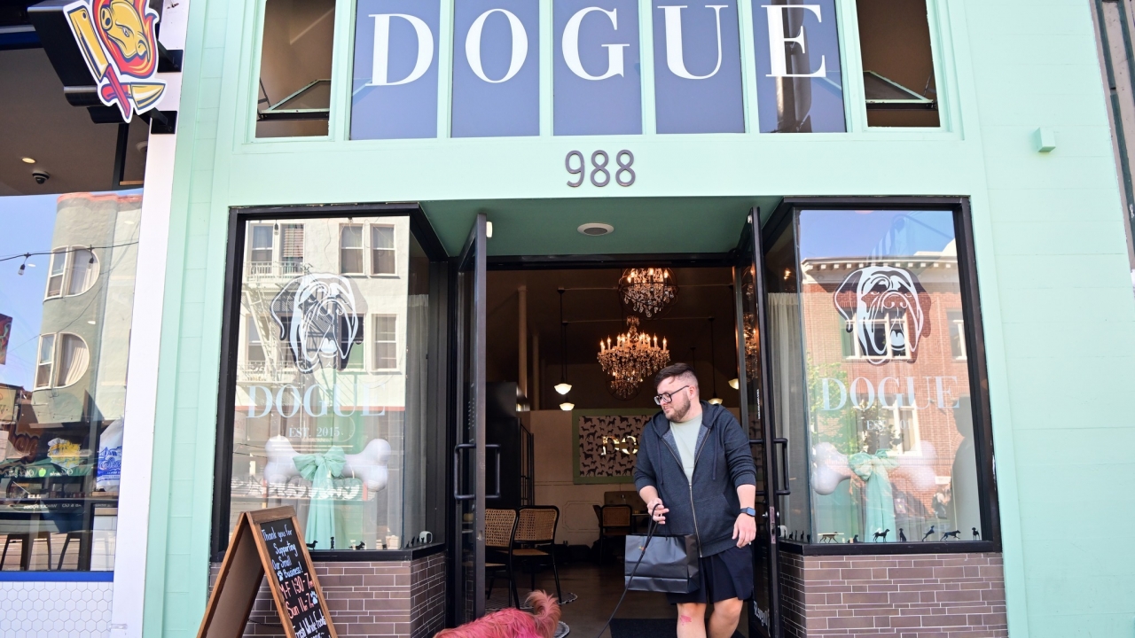 Dogue, a restaurant for dogs