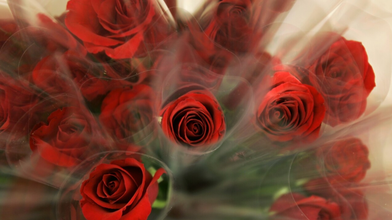 A bouquet of roses are displayed on sale.
