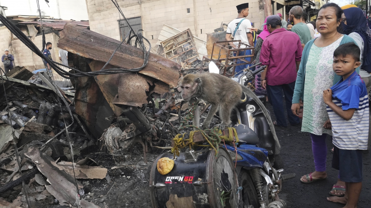 A pet macaque stands on its owner's motorbike as people inspect the damages from a fuel depot fire in Indonesia.