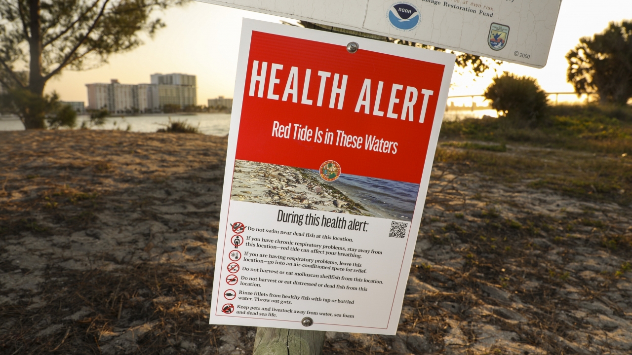 A health alert sign warns visitors to Sand Key Park of the presence of Red Tide.
