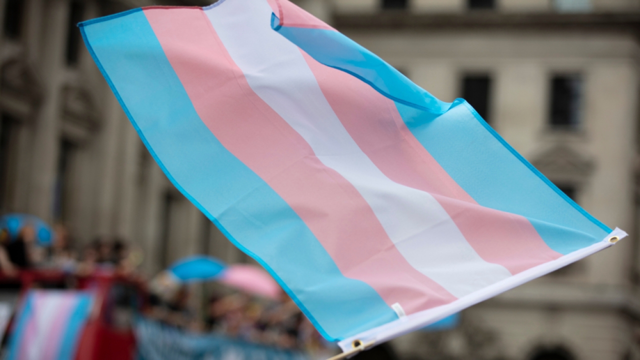 A transgender flag being waved at a pride march