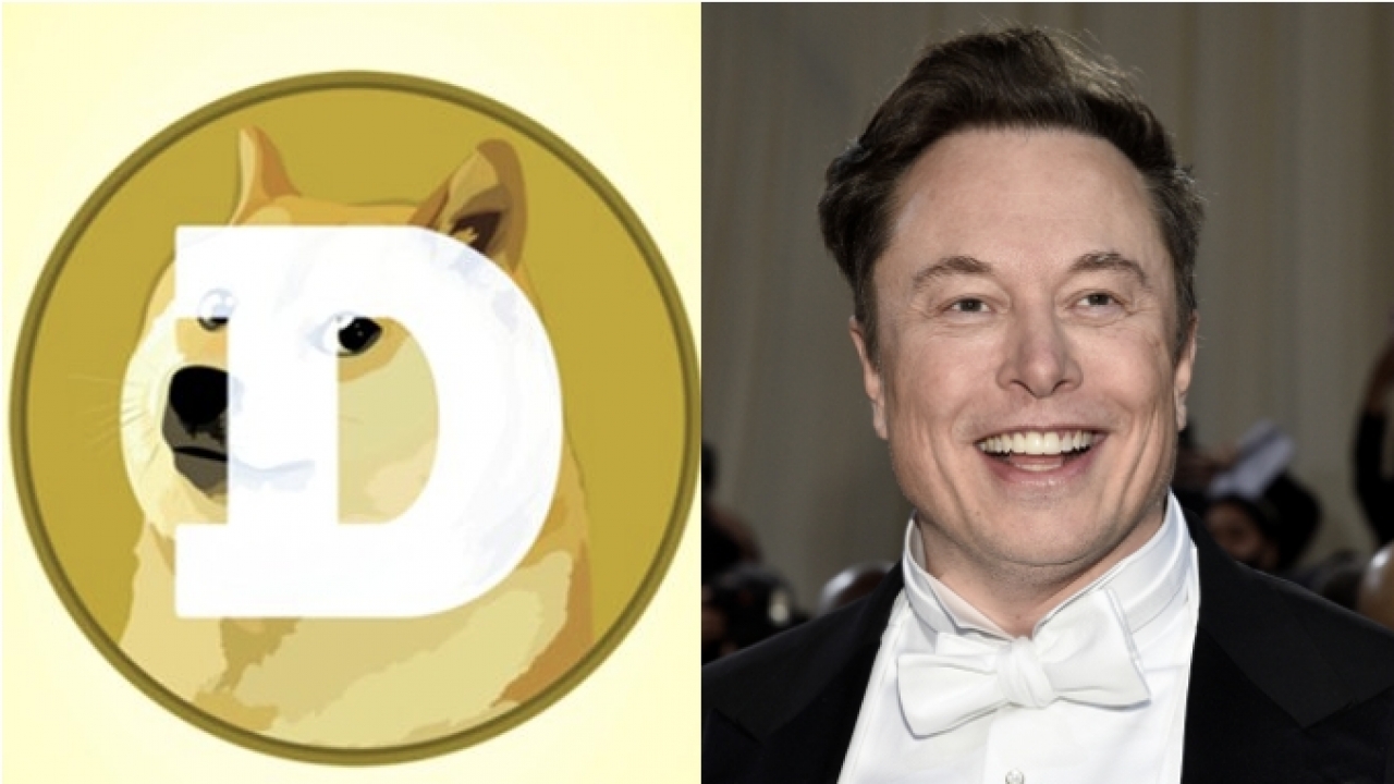 A combination photo of the Dogecoin logo and Elon Musk.