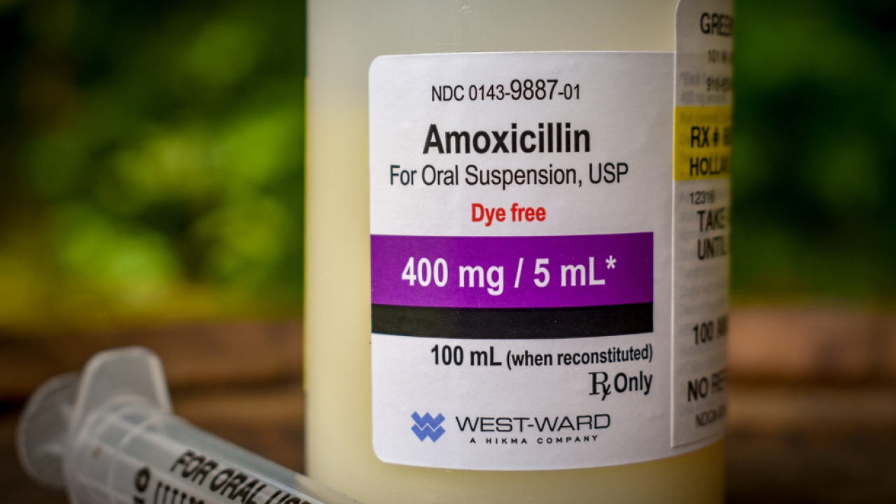 Amoxicillin is commonly used to treat strep.
