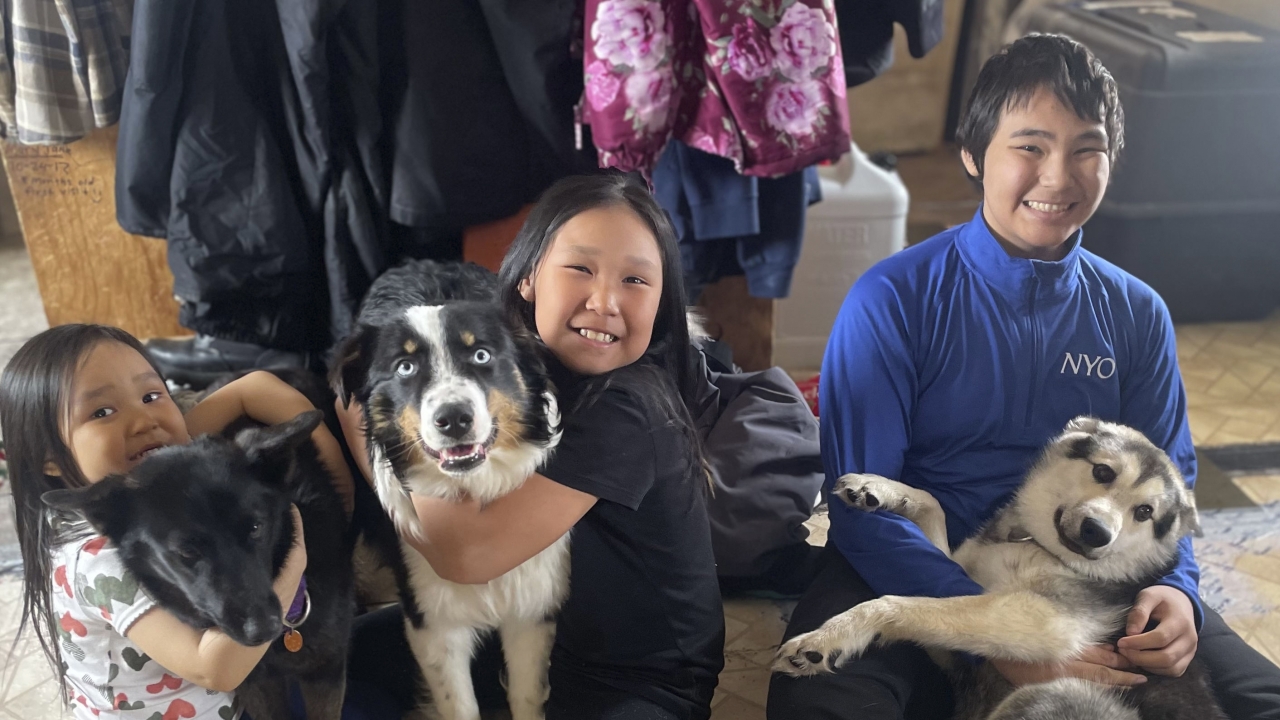 Nanuq, in the middle with Brooklyn Faith, after the 1-year-old Australian shepherd was returned to Gambell, Alaska.