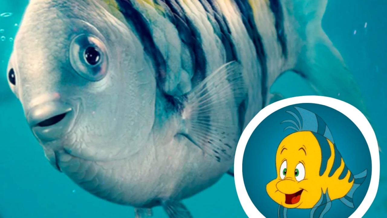 Two versions of Flounder in 'The Little Mermaid'
