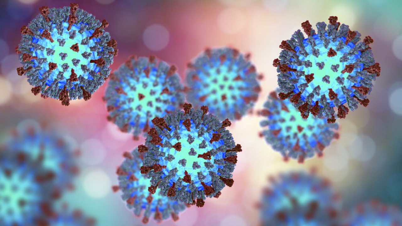 3D illustration showing structure of measles virus