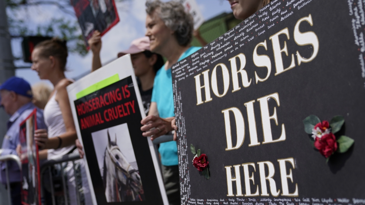 Protestors stand outside an entrance gate with signs decrying the sport of horse racing.