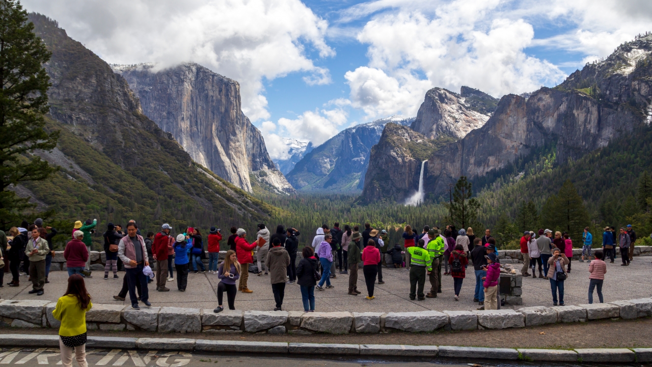 Campers crowd around at Yosemite National Park.