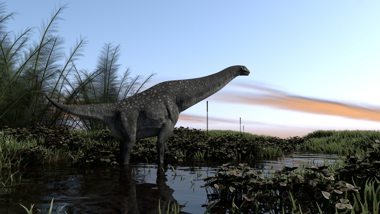 A titanosaurs standing in swampy waters.