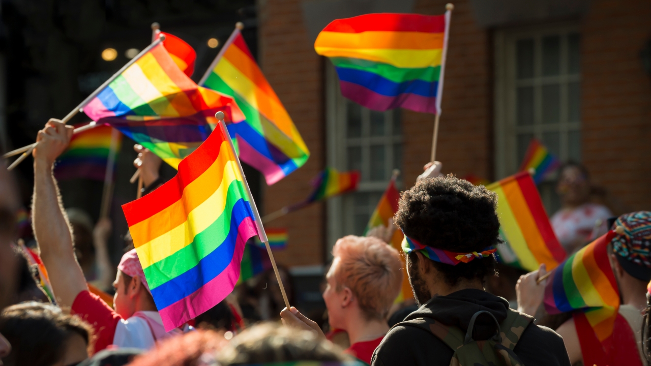 Rainbow flags held up in celebration of Pride