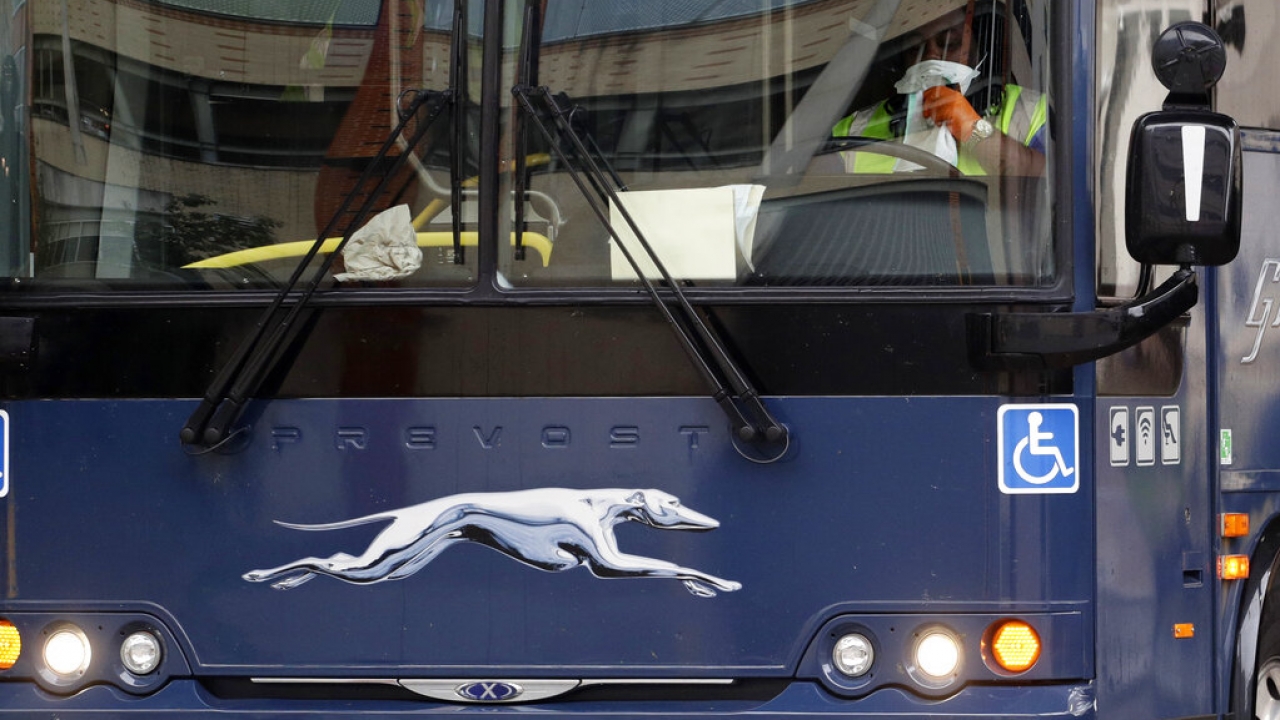 A Greyhound bus driver drives a bus.