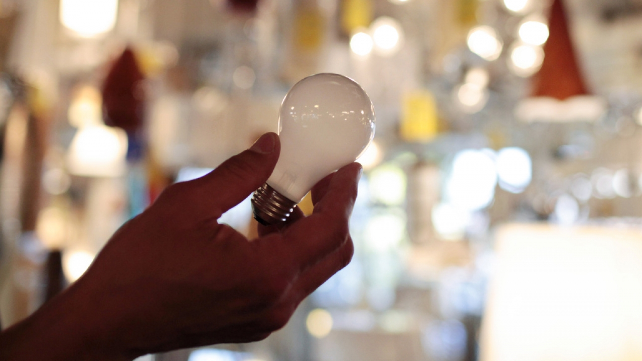 Person holds a 100-watt incandescent light bulb.