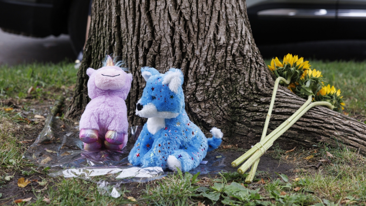 Two stuffed toys are laid at a crime scene.